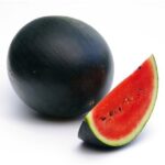 بذر هندوانه بلک کینگ